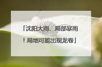 沈阳大雨、局部暴雨！局地可能出现龙卷