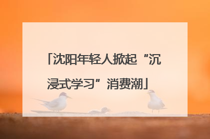 沈阳年轻人掀起“沉浸式学习”消费潮
