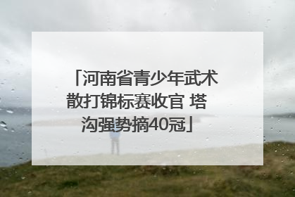 河南省青少年武术散打锦标赛收官 塔沟强势摘40冠