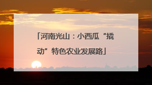 河南光山：小西瓜“撬动”特色农业发展路