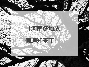 河南多地放假通知来了