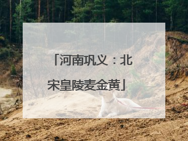 河南巩义：北宋皇陵麦金黄