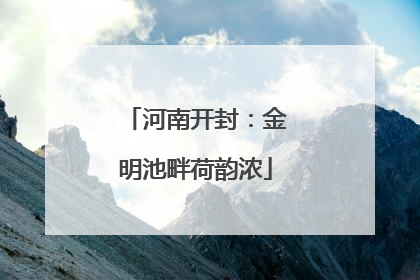 河南开封：金明池畔荷韵浓