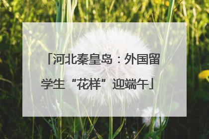 河北秦皇岛：外国留学生“花样”迎端午