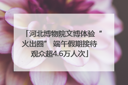 河北博物院文博体验“火出圈” 端午假期接待观众超4.6万人次