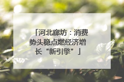 河北廊坊：消费势头稳点燃经济增长“新引擎”