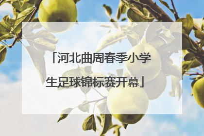 河北曲周春季小学生足球锦标赛开幕