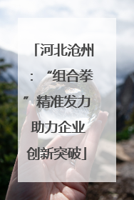 河北沧州：“组合拳”精准发力 助力企业创新突破