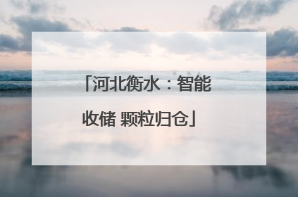 河北衡水：智能收储 颗粒归仓