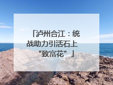 泸州合江：统战助力引活石上“致富花”