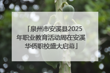 泉州市安溪县2025年职业教育活动周在安溪华侨职校盛大启幕