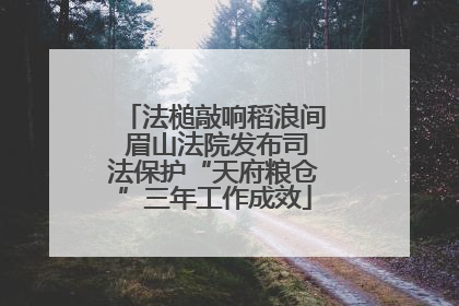法槌敲响稻浪间 眉山法院发布司法保护“天府粮仓”三年工作成效