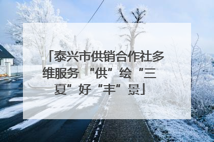 泰兴市供销合作社多维服务 “供”绘“三夏”好“丰”景
