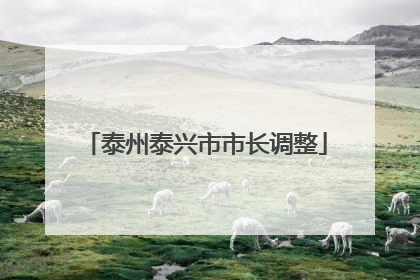 泰州泰兴市市长调整