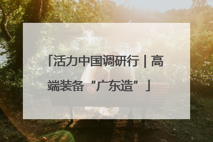 活力中国调研行｜高端装备“广东造”