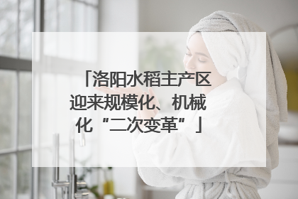 洛阳水稻主产区迎来规模化、机械化“二次变革”