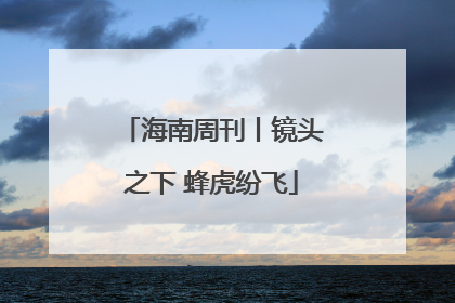 海南周刊丨镜头之下 蜂虎纷飞