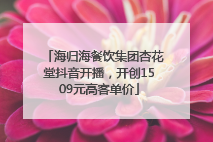 海归海餐饮集团杏花堂抖音开播，开创1509元高客单价