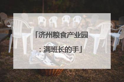 济州粮食产业园：满班长的手