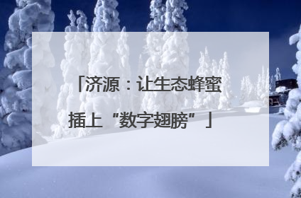 济源：让生态蜂蜜插上“数字翅膀”