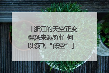 浙江的天空正变得越来越繁忙 何以领飞“低空”