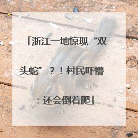 浙江一地惊现“双头蛇”？！村民吓懵：还会倒着爬