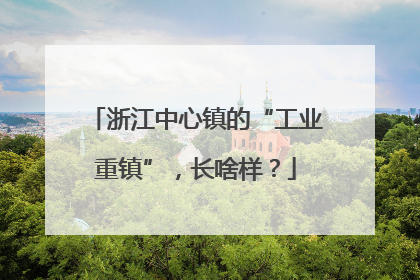 浙江中心镇的“工业重镇”，长啥样？