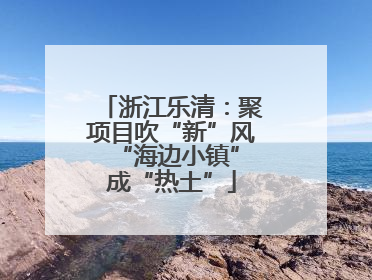 浙江乐清：聚项目吹“新”风 “海边小镇”成“热土”