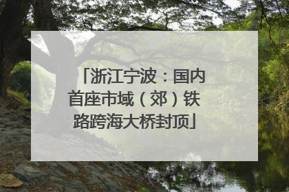 浙江宁波：国内首座市域（郊）铁路跨海大桥封顶