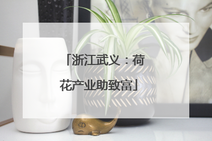 浙江武义：荷花产业助致富