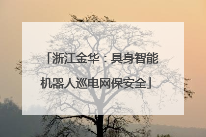 浙江金华：具身智能机器人巡电网保安全