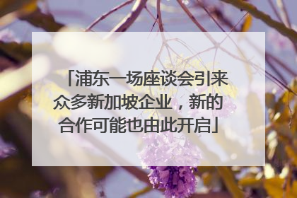浦东一场座谈会引来众多新加坡企业，新的合作可能也由此开启