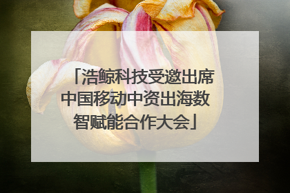 浩鲸科技受邀出席中国移动中资出海数智赋能合作大会