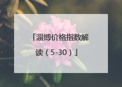 淄博价格指数解读（5-30）