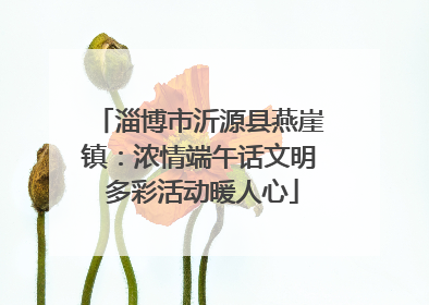 淄博市沂源县燕崖镇：浓情端午话文明 多彩活动暖人心
