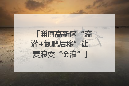 淄博高新区“滴灌+氮肥后移”让麦浪变“金浪”