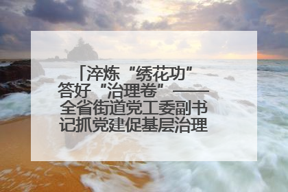 淬炼“绣花功” 答好“治理卷”——全省街道党工委副书记抓党建促基层治理培训示范班侧记
