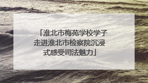 淮北市梅苑学校学子走进淮北市检察院沉浸式感受司法魅力