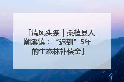 清风头条｜桑植县人潮溪镇：“迟到”5年的生态林补偿金
