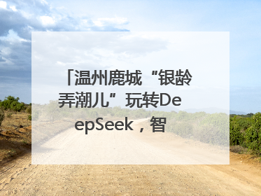 温州鹿城“银龄弄潮儿”玩转DeepSeek，智慧生活触手可及
