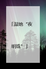 湿地“夜明珠”