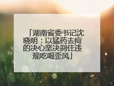 湖南省委书记沈晓明：以猛药去疴的决心坚决刹住违规吃喝歪风