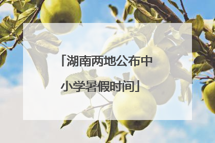 湖南两地公布中小学暑假时间