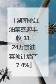 湖南桃江油菜喜迎丰收 31.24万亩油菜预计增产7.4%