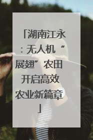 湖南江永：无人机“展翅”农田 开启高效农业新篇章