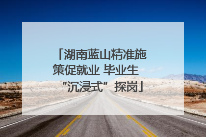 湖南蓝山精准施策促就业 毕业生“沉浸式”探岗