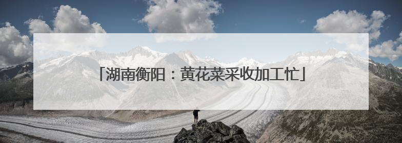 湖南衡阳：黄花菜采收加工忙