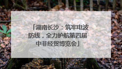 湖南长沙：筑牢电波防线，全力护航第四届中非经贸博览会