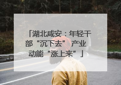 湖北咸安：年轻干部“沉下去” 产业动能“涨上来”