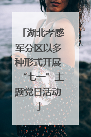 湖北孝感军分区以多种形式开展“七一”主题党日活动